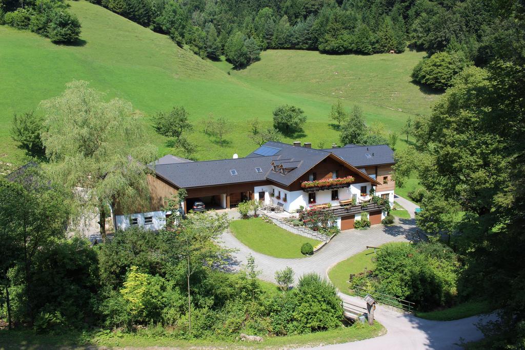 Urlaub Mitten Im Wald - Lueg Scheibbs Exterior foto