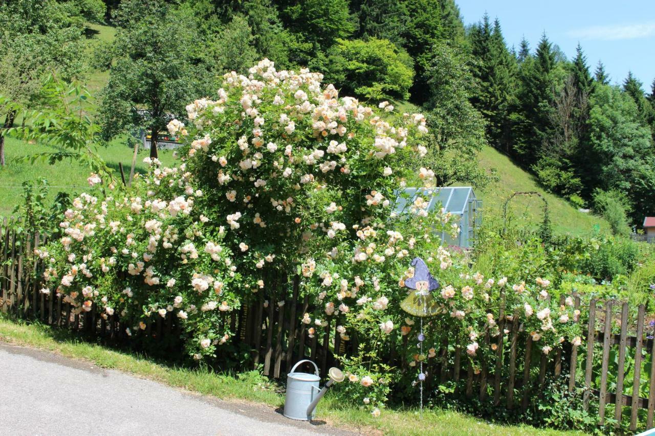 Urlaub Mitten Im Wald - Lueg Scheibbs Exterior foto